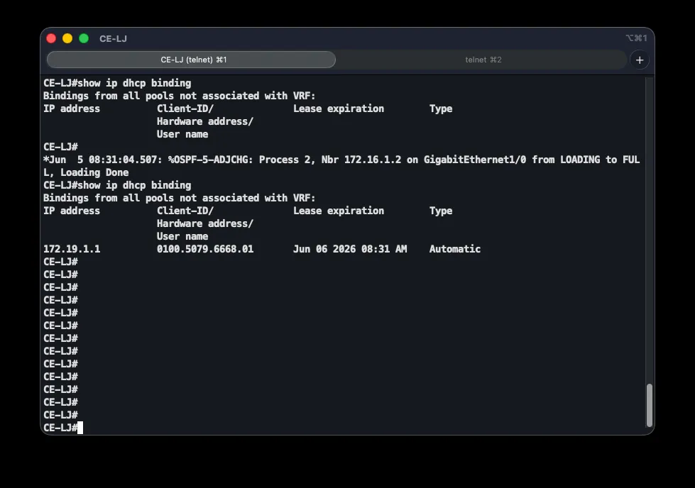 DHCP address bindings on the Ljubuški branch router