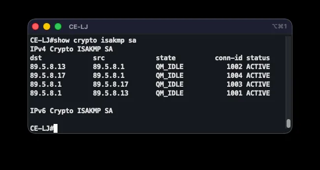 ISAKMP and IPsec security associations on the GRE tunnels, all in QM_IDLE