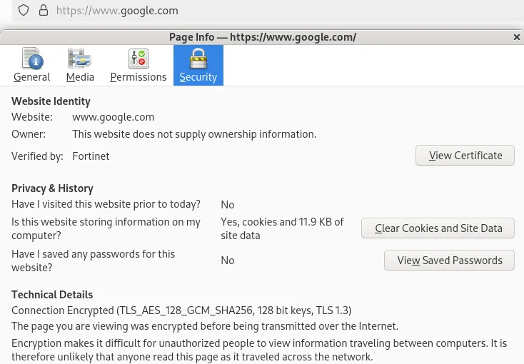 Firefox showing a Fortinet-signed certificate when visiting google.com